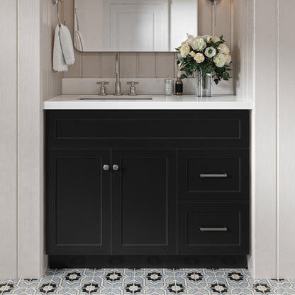 Bradford 42-Inch Black bathroom vanity in styled bathroom setting