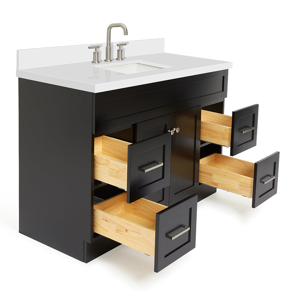 Bradford 48-Inch Black bathroom vanity on white background – product photo 1