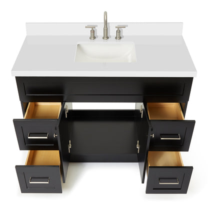 Bradford 48-Inch Black bathroom vanity on white background – product photo 2