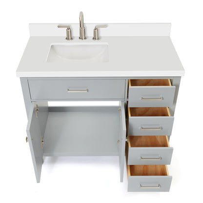 Alenza 42-inch Grey bathroom vanity on white back ground front view open door
