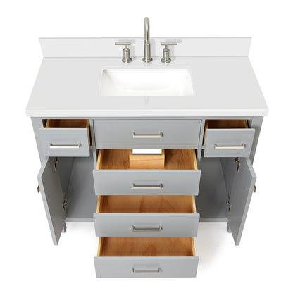 Alenza 42-inch Grey bathroom vanity on white back ground front view open door