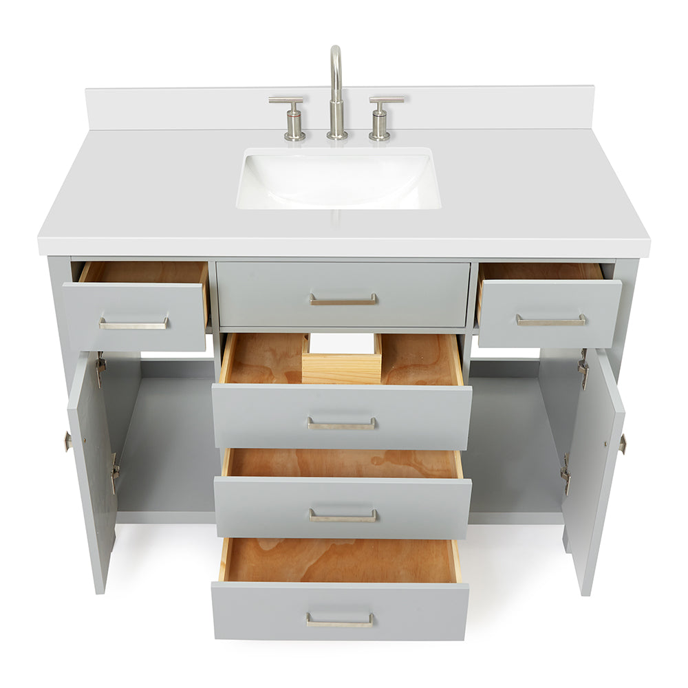 Alenza 48-inch Grey bathroom vanity on white back ground front view open door