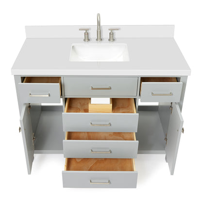 Alenza 48-inch Grey bathroom vanity on white back ground front view open door