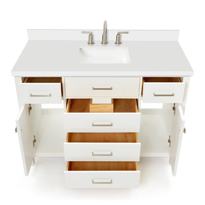 Alenza 48-inch White bathroom vanity on white back ground front view open door