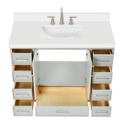 Langford 48-inch Grey bathroom vanity on white back ground front view open door
