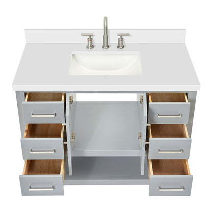 Olivia 42-inch Grey bathroom vanity on white back ground front view open door